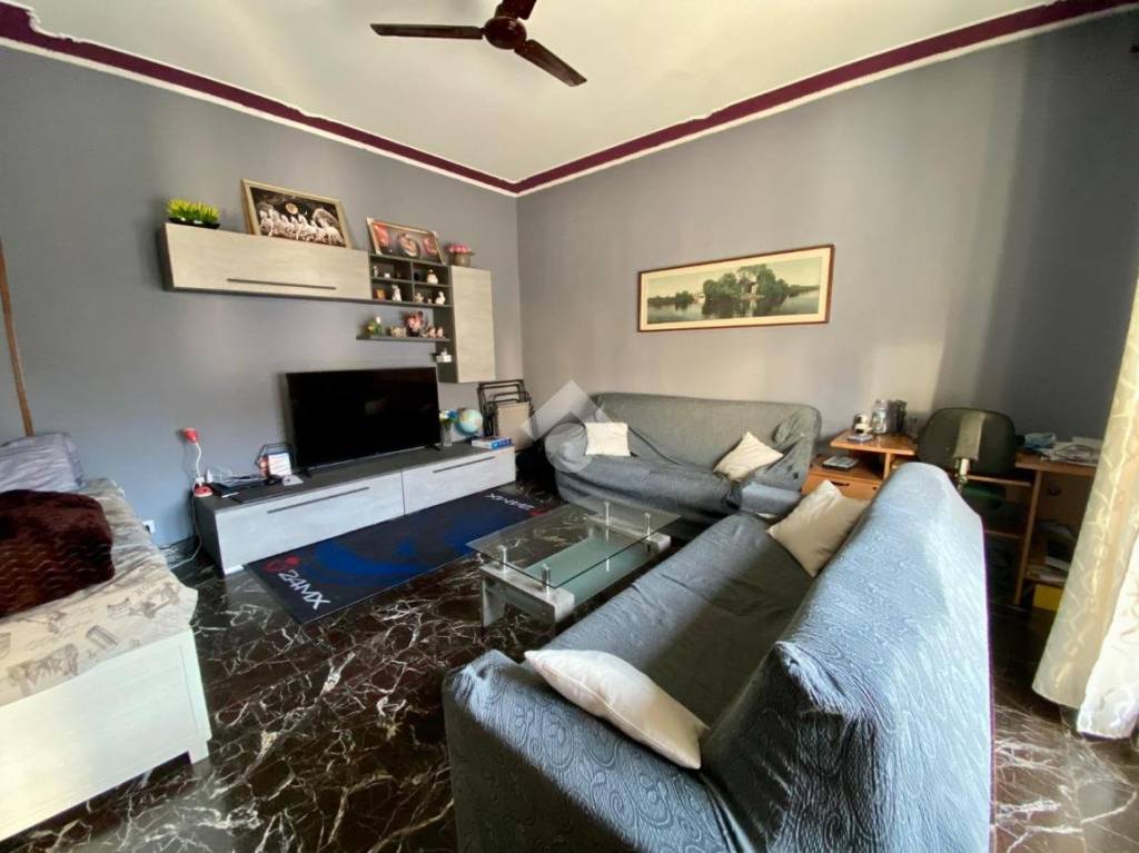 immagine annuncio 3 di 14