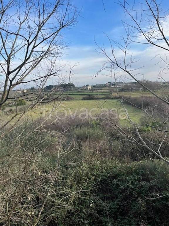 immagine annuncio 7 di 13