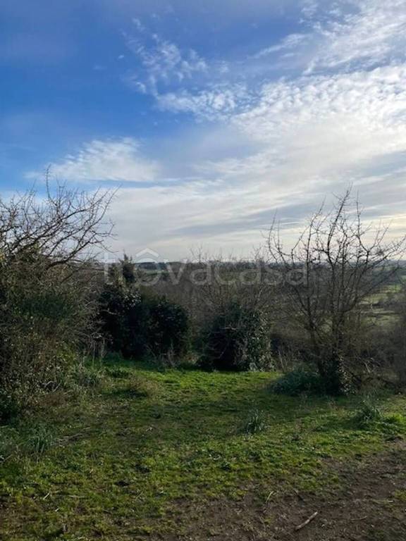 immagine annuncio 10 di 13