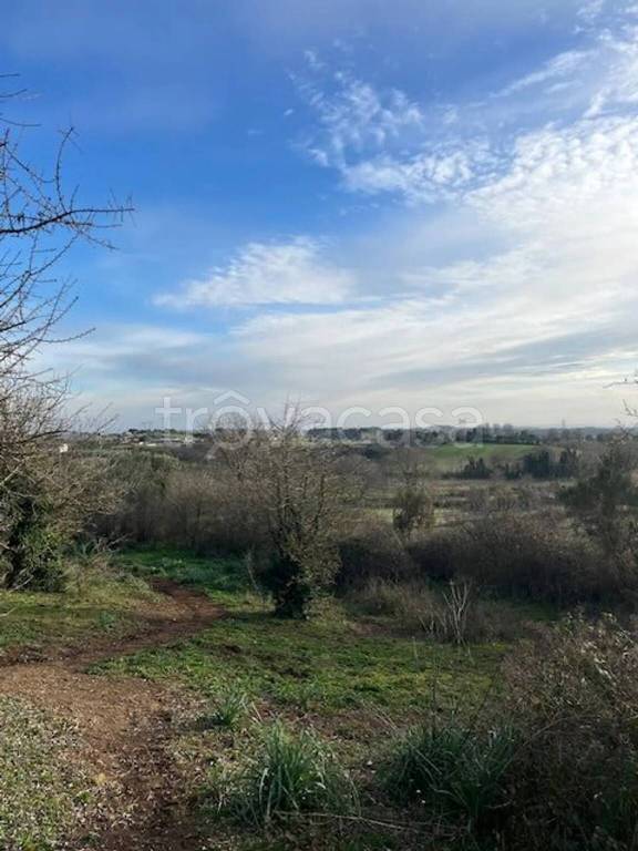 immagine annuncio 11 di 13