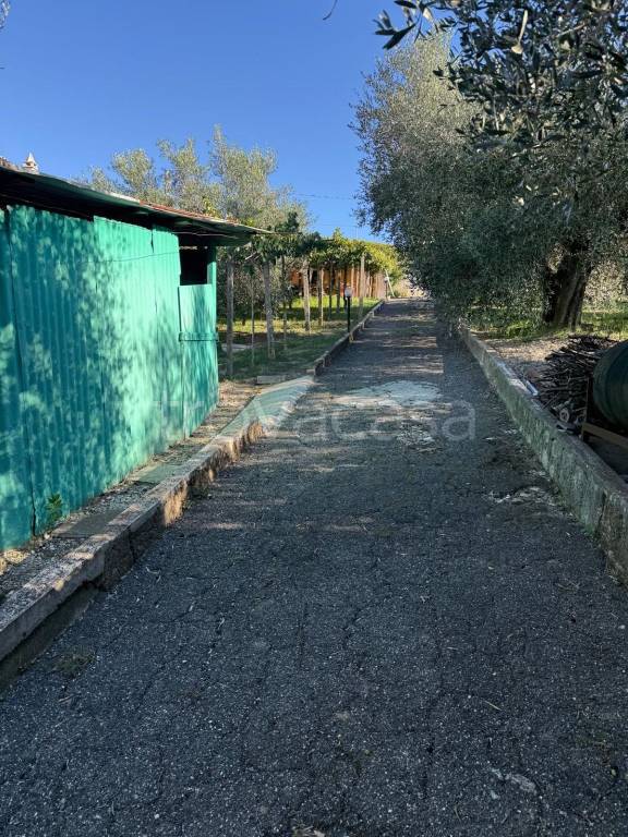 immagine annuncio 2 di 6