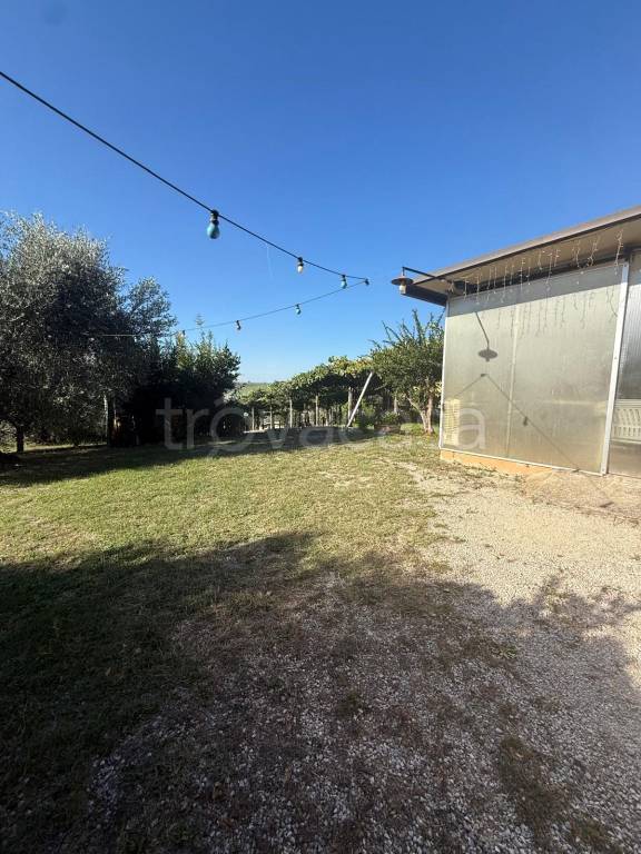 immagine annuncio 3 di 6