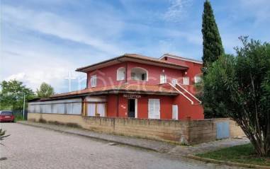 immagine annuncio 14 di 15