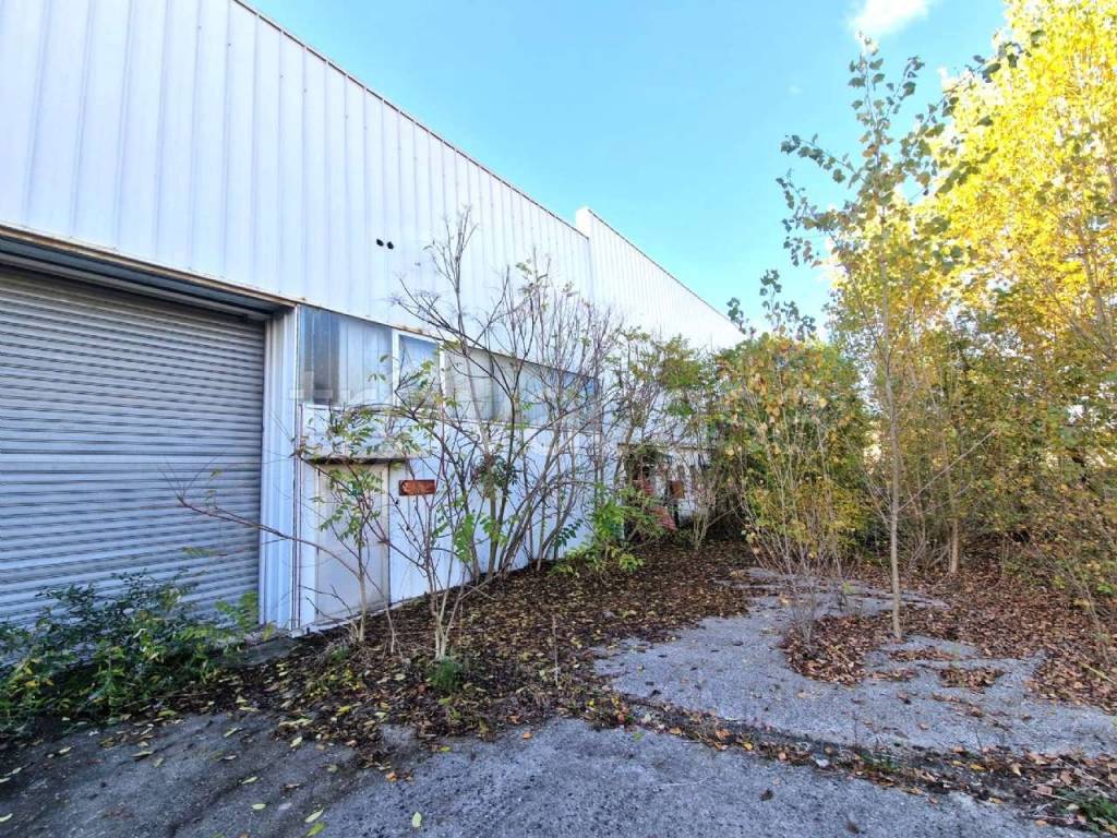 immagine annuncio 11 di 15