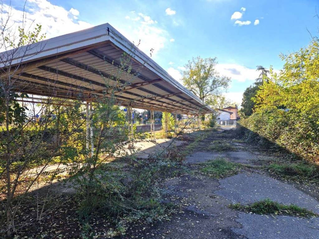 immagine annuncio 12 di 15