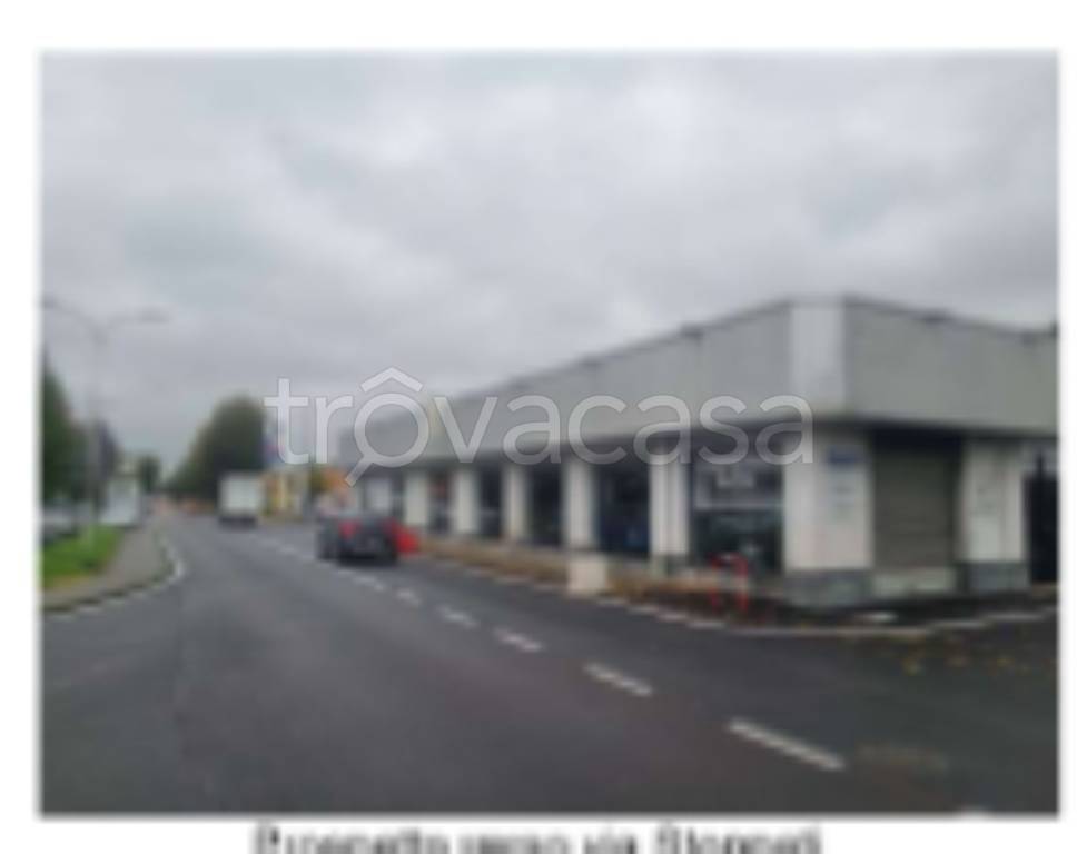 immagine annuncio 3 di 11