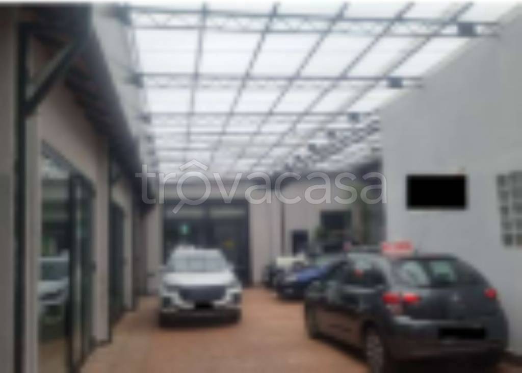 immagine annuncio 5 di 11