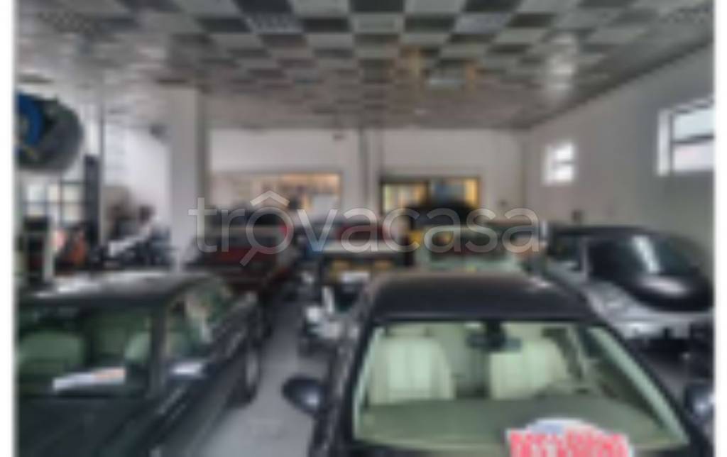 immagine annuncio 6 di 11