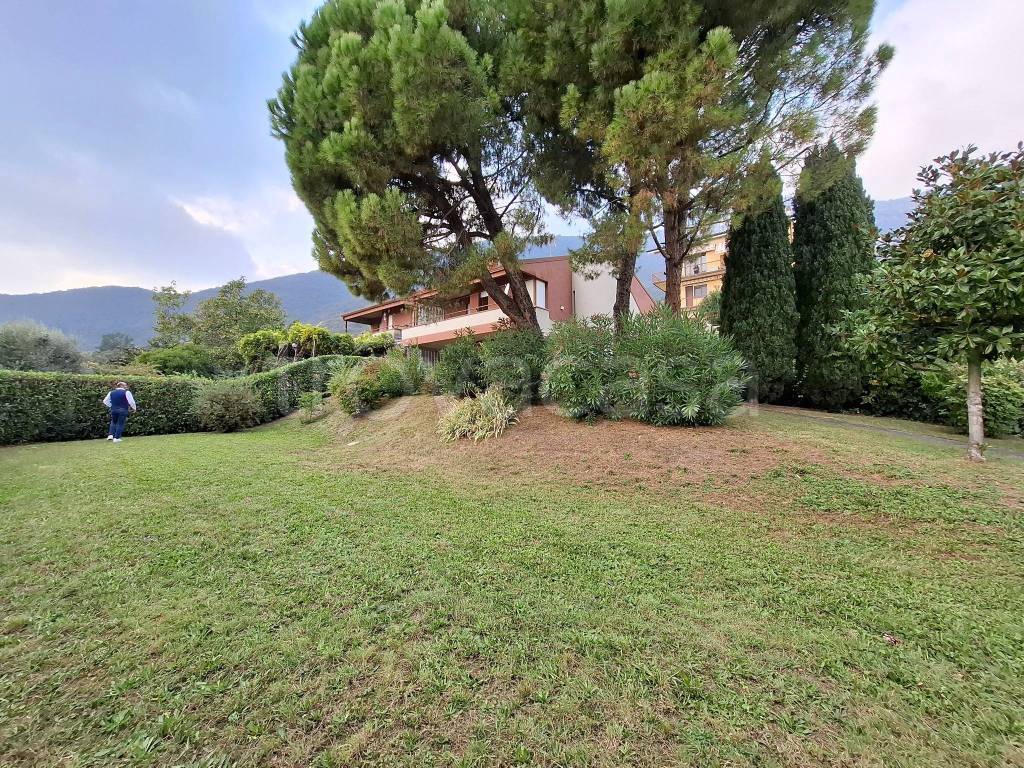 immagine annuncio 6 di 13