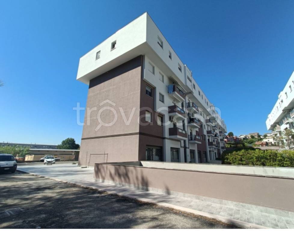 immagine annuncio 6 di 12