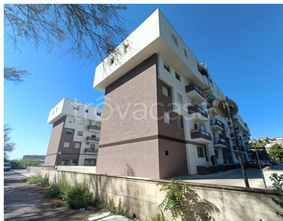 immagine annuncio 9 di 12