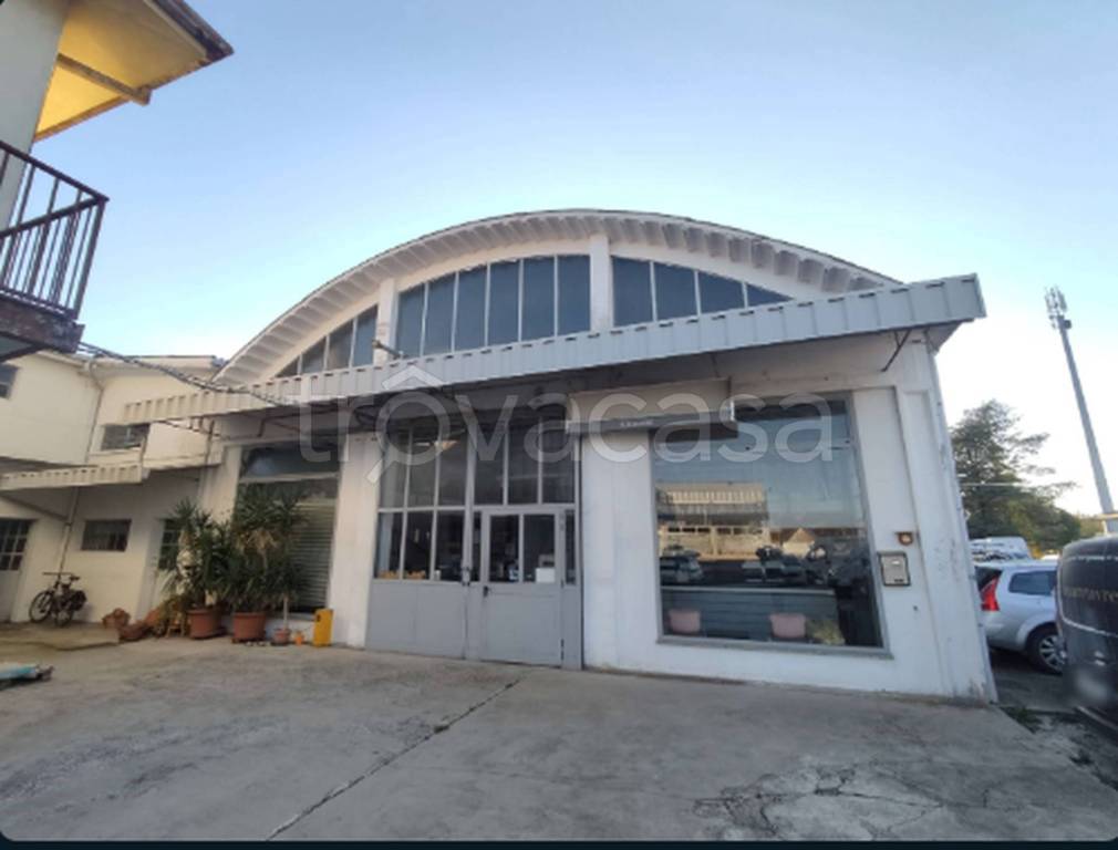 immagine annuncio 11 di 12