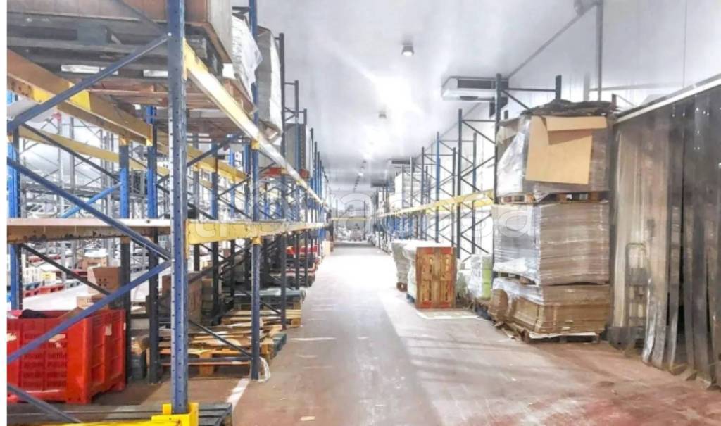 immagine annuncio 5 di 14