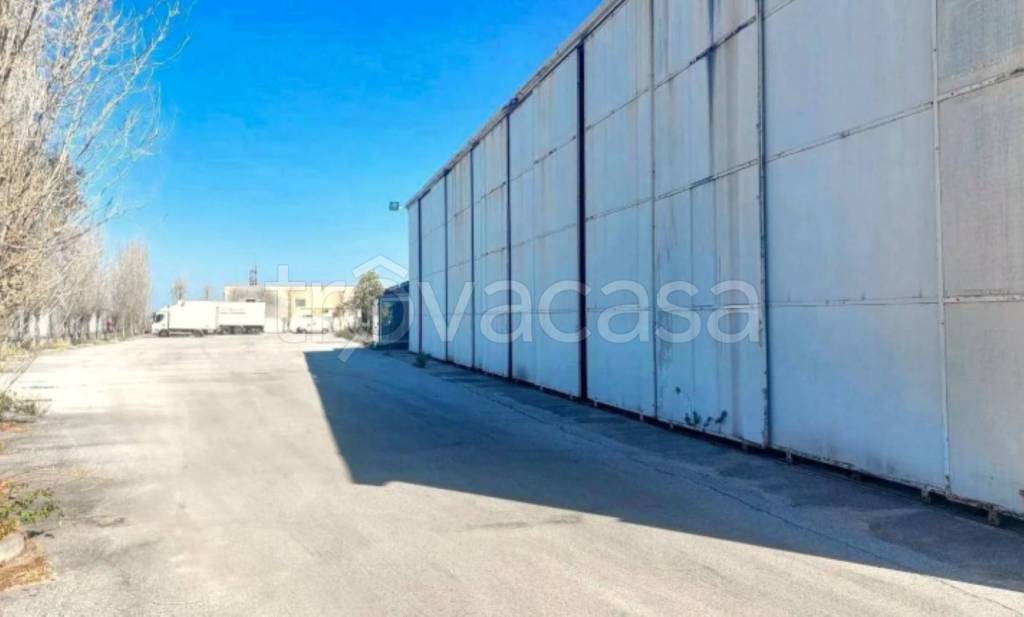 immagine annuncio 6 di 14