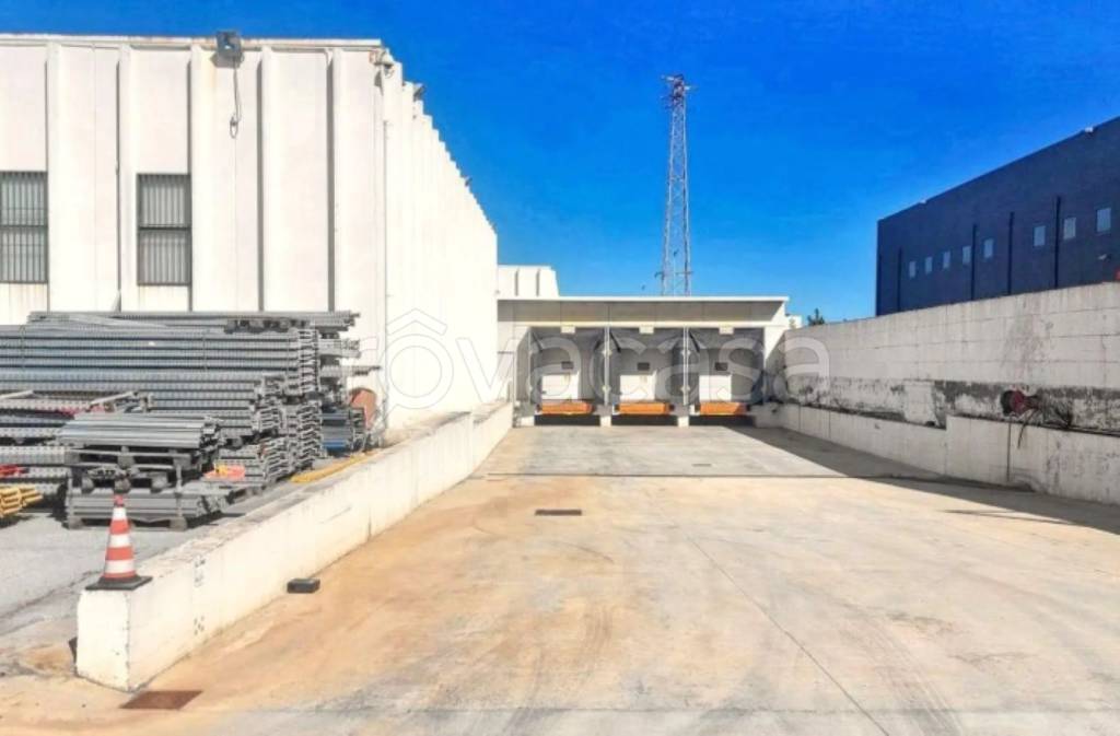 immagine annuncio 8 di 14