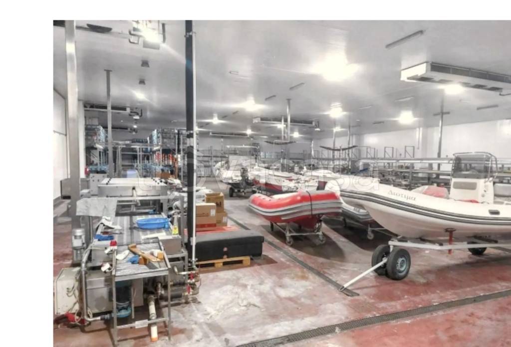 immagine annuncio 9 di 14