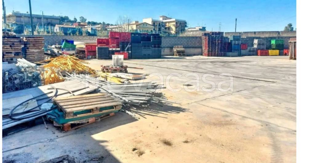 immagine annuncio 10 di 14