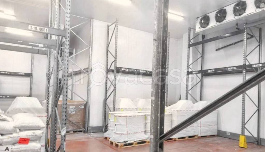 immagine annuncio 11 di 14