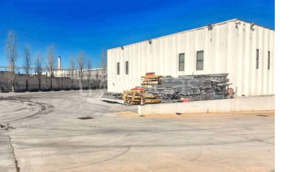 immagine annuncio 12 di 14