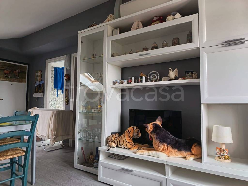 immagine annuncio 3 di 11