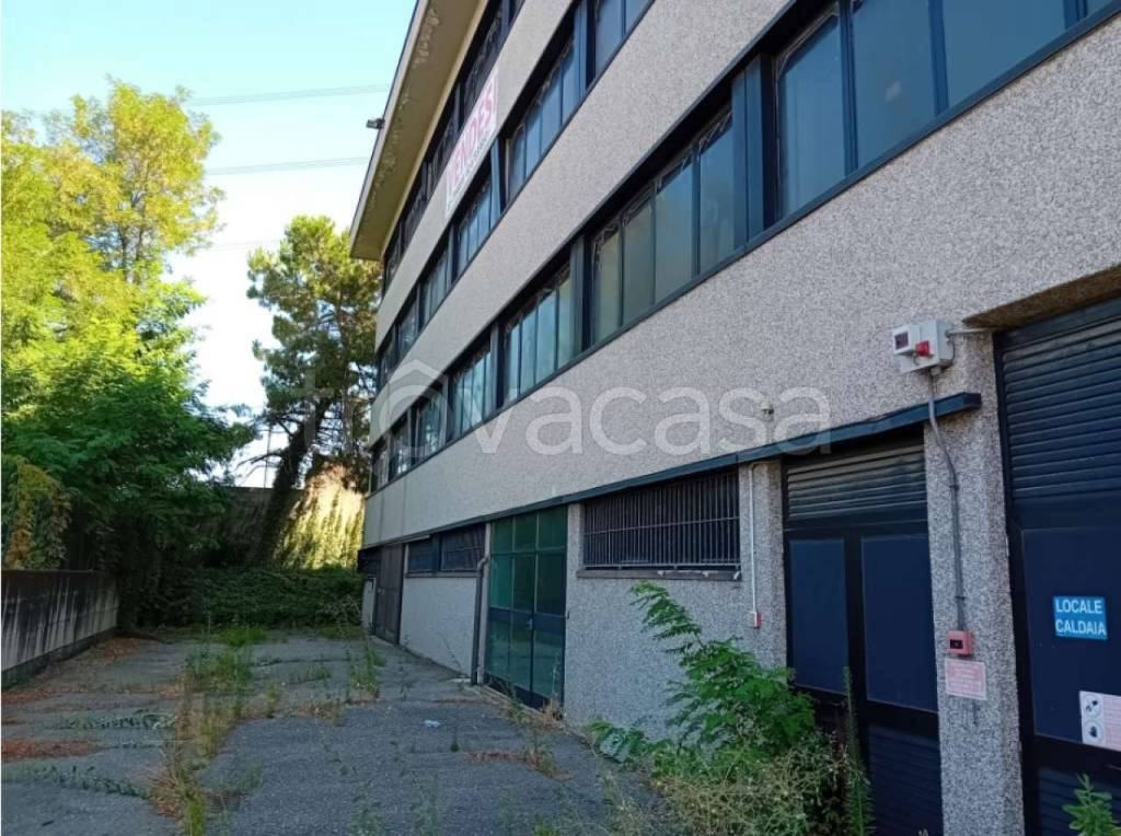 immagine annuncio 10 di 15