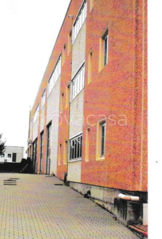 immagine annuncio 7 di 14