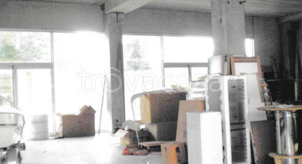 immagine annuncio 8 di 14