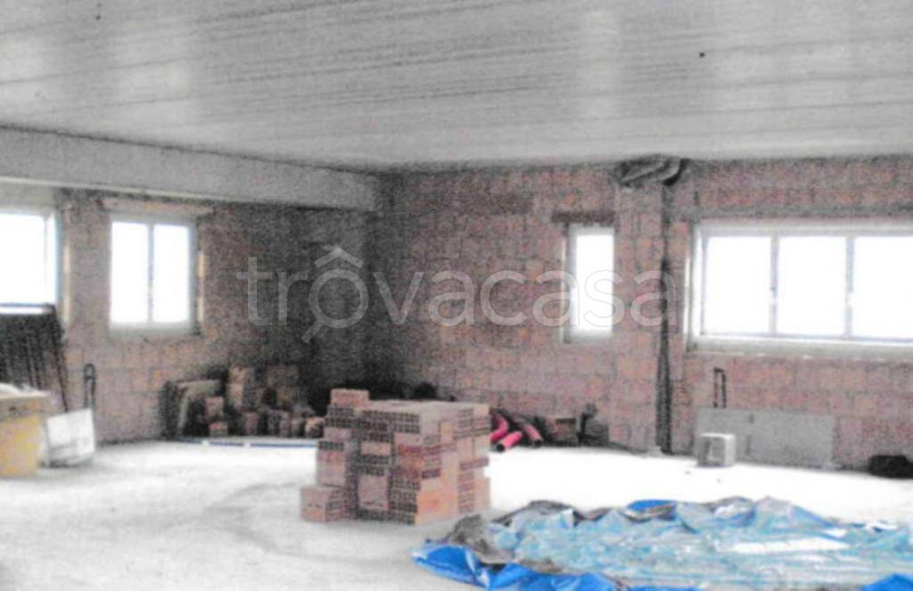 immagine annuncio 12 di 14