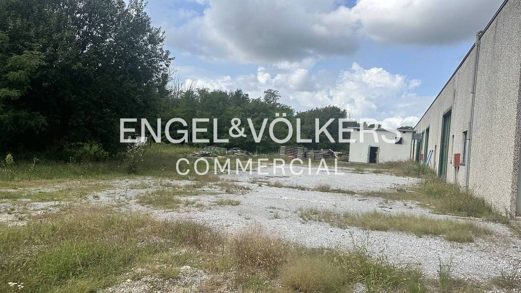 immagine annuncio 2 di 7