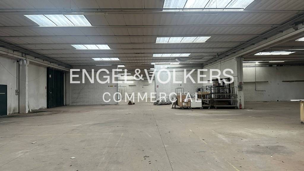 immagine annuncio 4 di 7