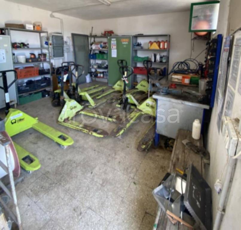 immagine annuncio 5 di 15