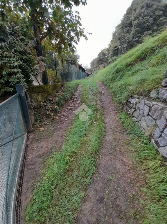 immagine annuncio 7 di 14