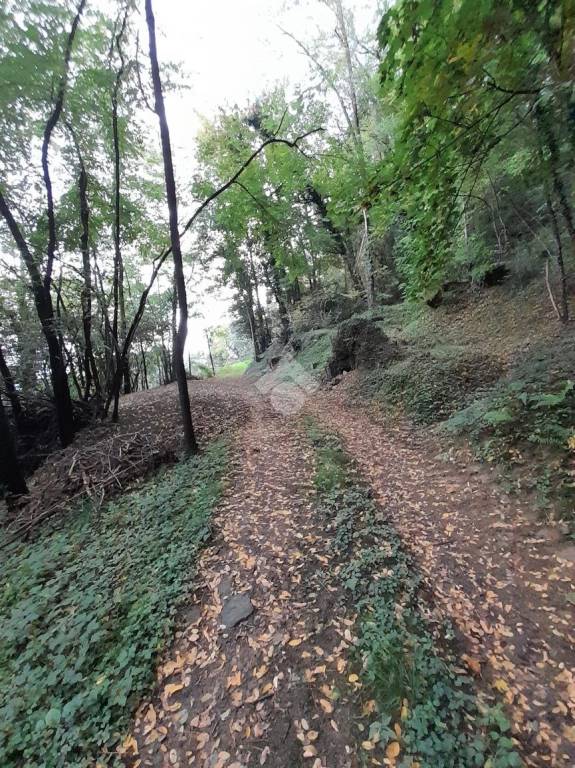 immagine annuncio 10 di 14