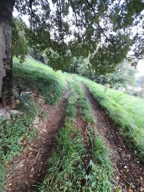 immagine annuncio 13 di 14