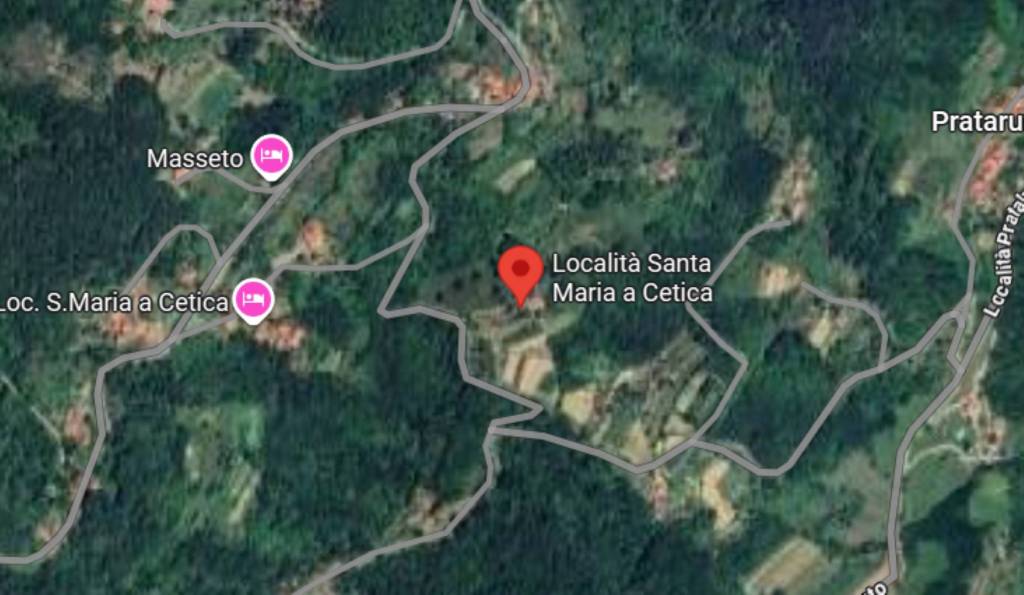 immagine annuncio 8 di 10