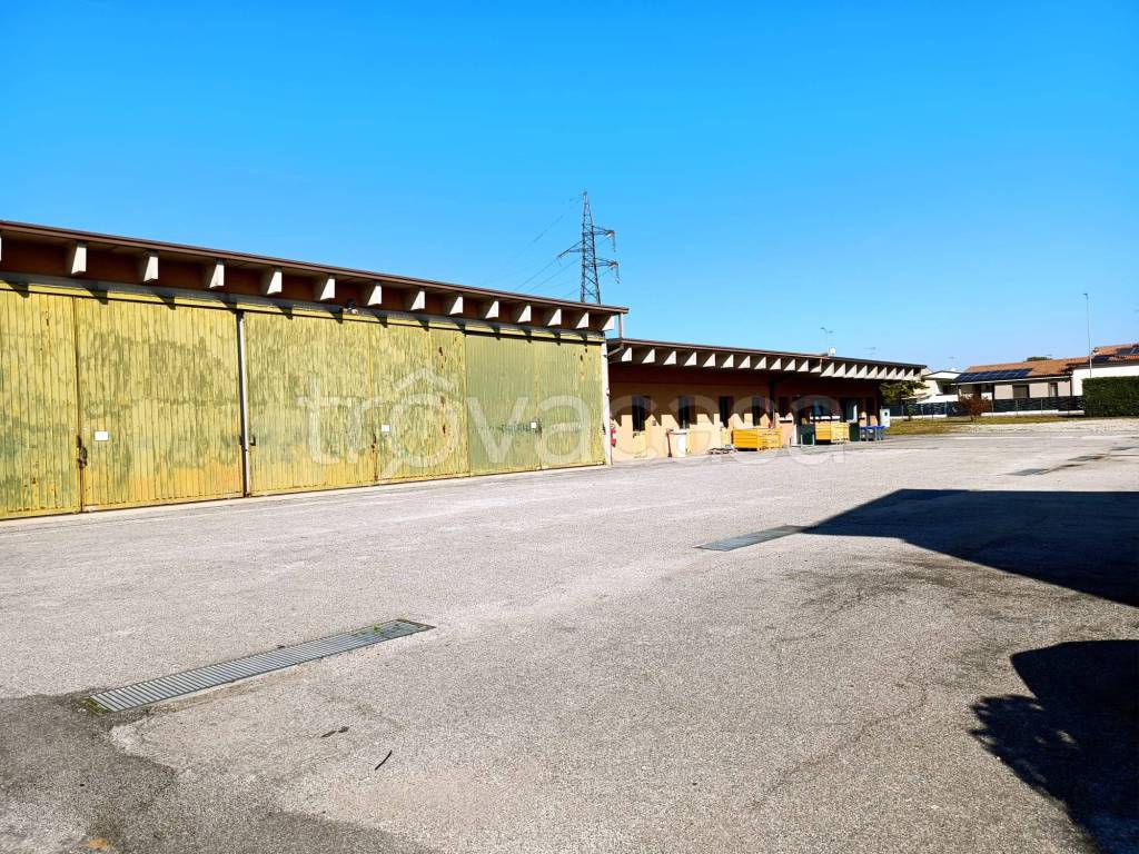 immagine annuncio 2 di 11