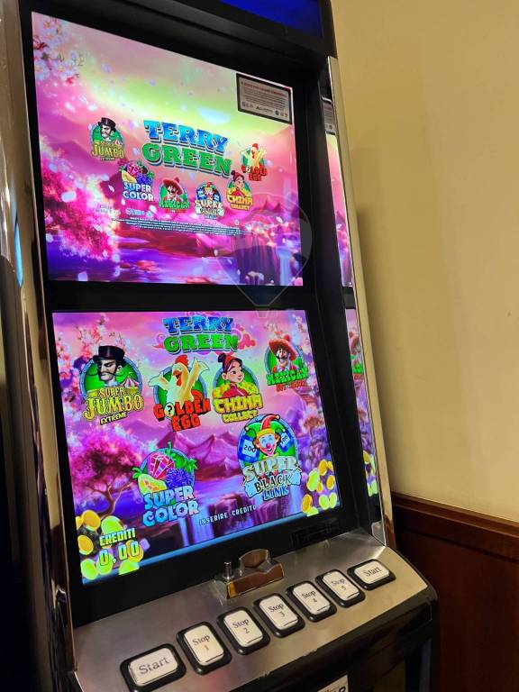 immagine annuncio 10 di 15