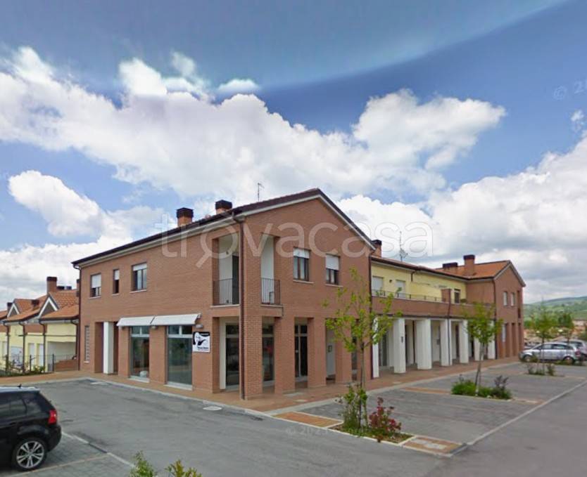 immagine annuncio 2 di 12