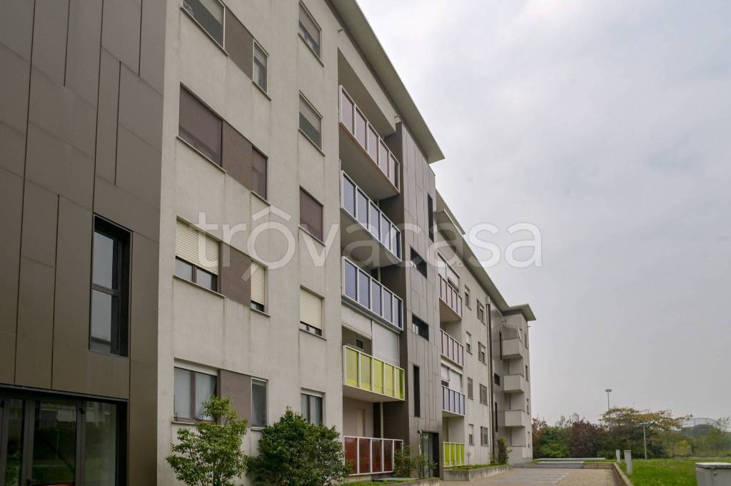 immagine annuncio 8 di 15