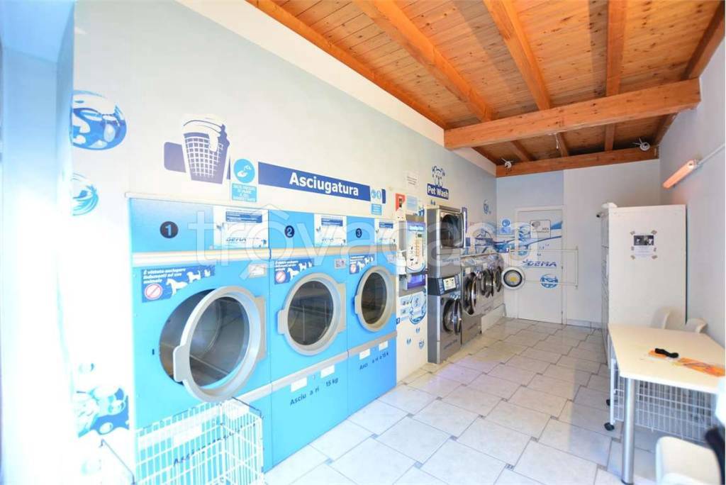 immagine annuncio 2 di 12