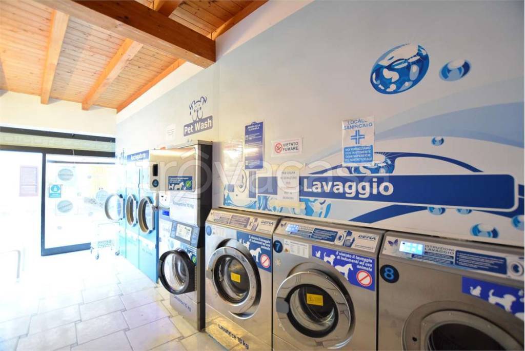 immagine annuncio 3 di 12