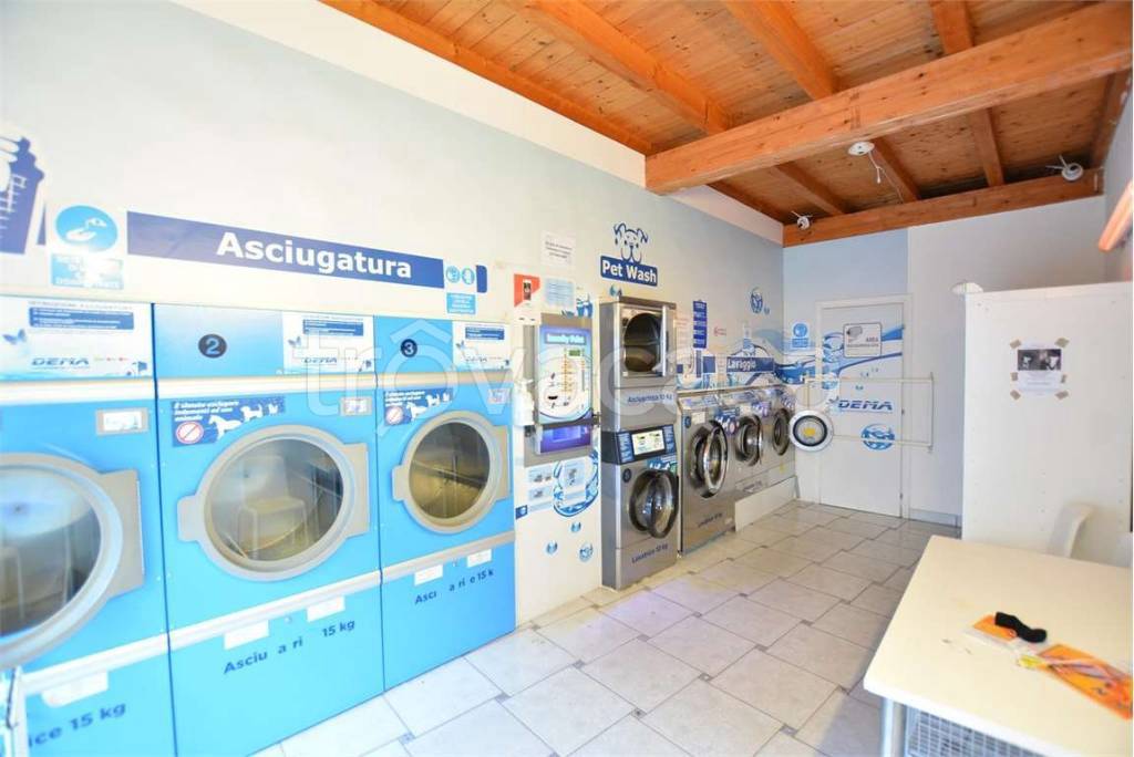 immagine annuncio 10 di 12