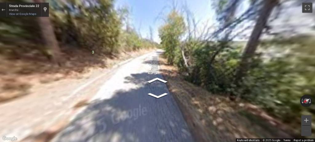 immagine annuncio 5 di 14