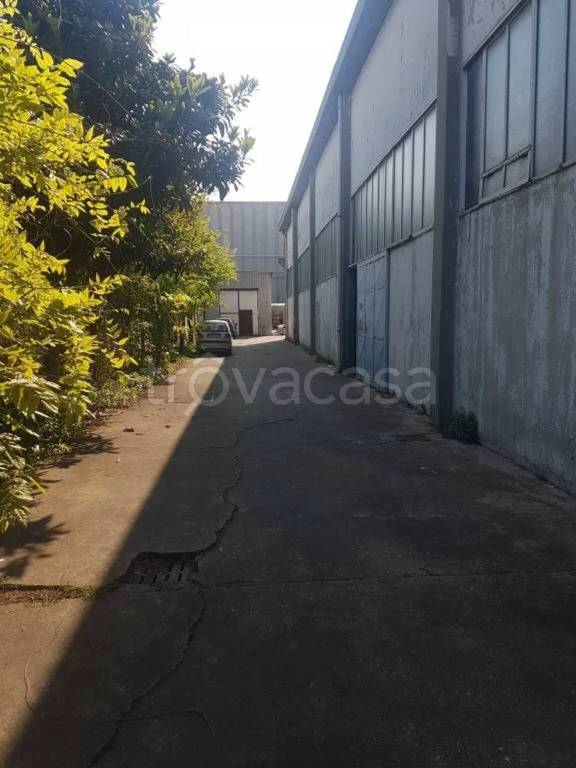 immagine annuncio 1 di 8