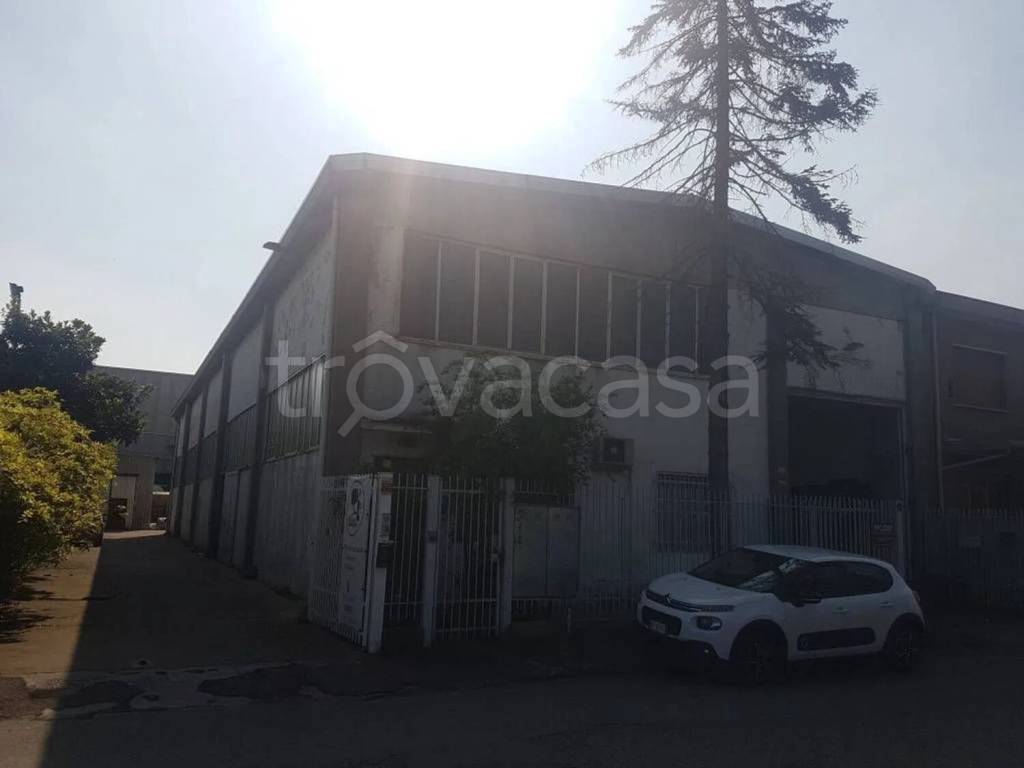 immagine annuncio 3 di 8