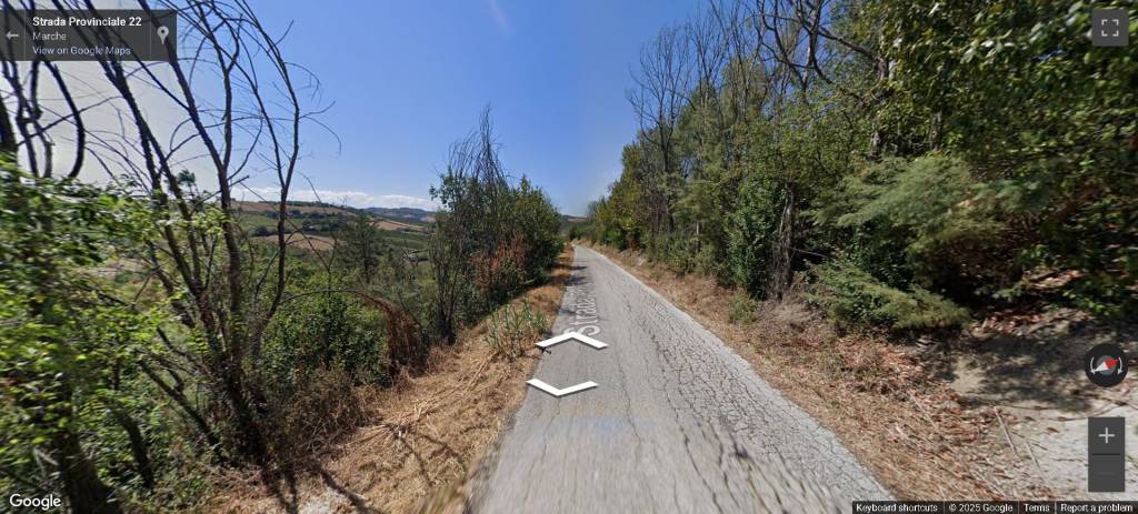 immagine annuncio 11 di 14