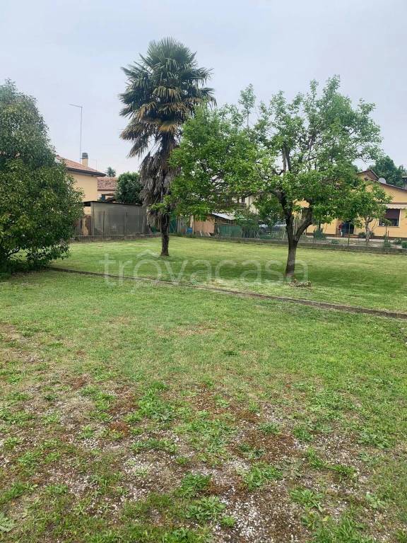 immagine annuncio 2 di 6