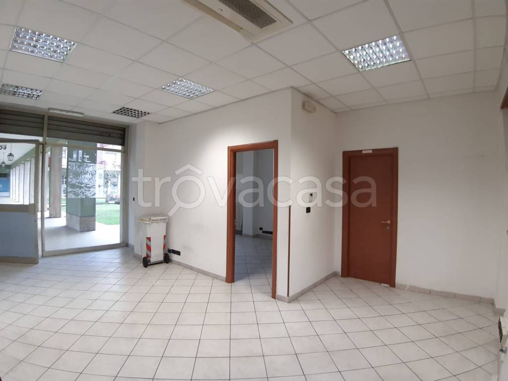 immagine annuncio 5 di 12