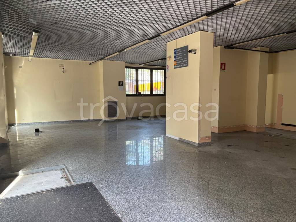 immagine annuncio 4 di 6