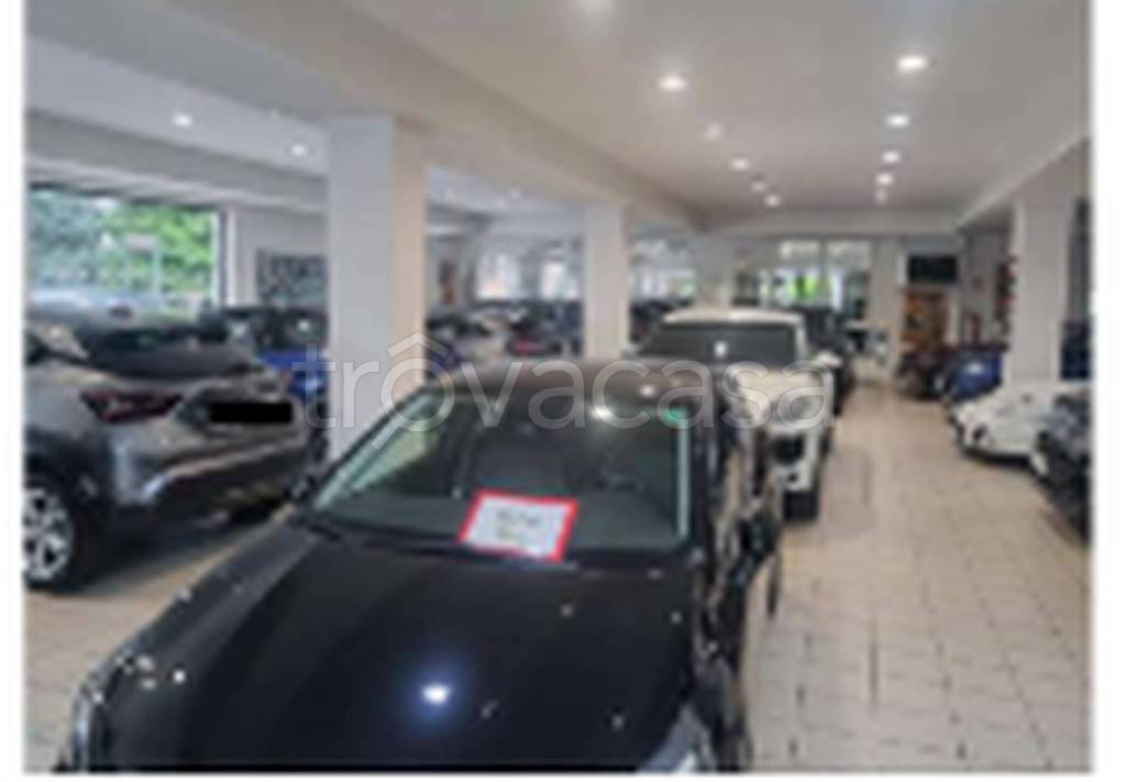 immagine annuncio 5 di 11